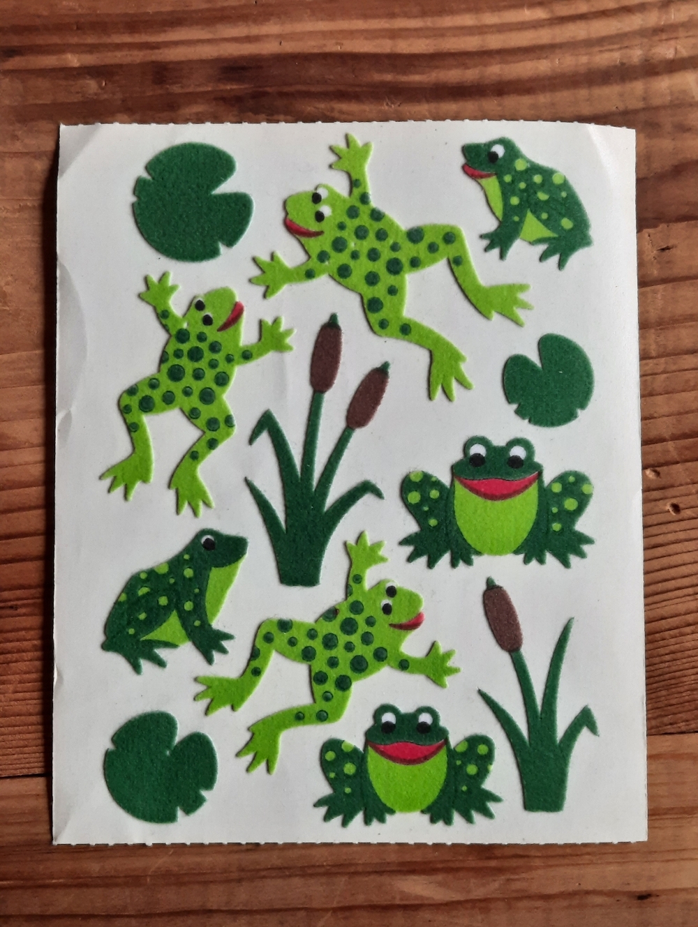 Vintage Sandylion Fuzzy Frog & Toad Stickers Maxi Sheet